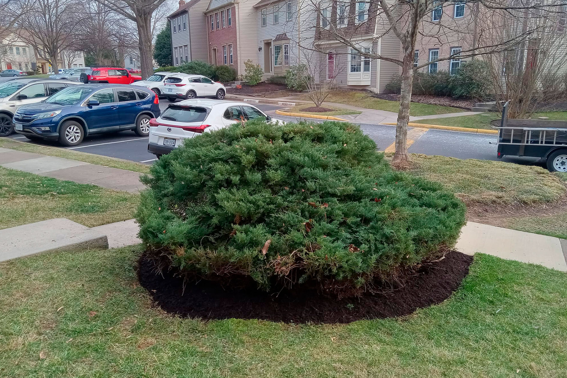 Stump in lawn in public park