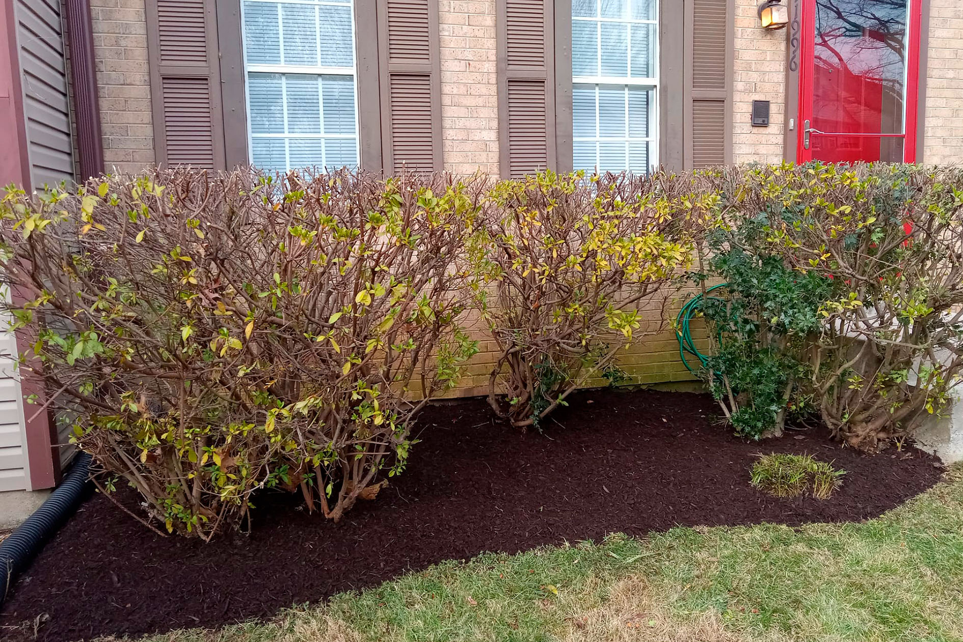 Stump in lawn in public park